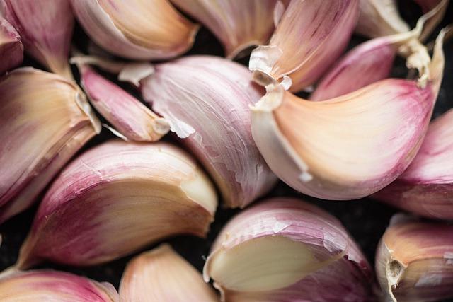 Exploring the⁣ Benefits of Kyolic⁣ Aged Garlic Extract for ‍Heart Health
