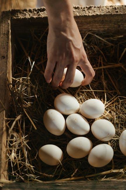 Combining Nutrients: ‍Crafting a Complete post-Run Supplement‍ Routine