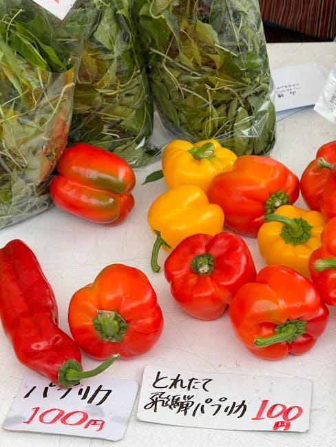 Transparency Matters: Evaluating Ingredient Sourcing and Manufacturing Practices