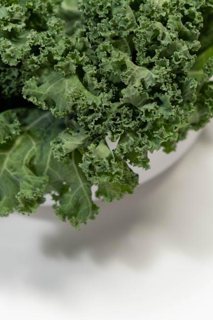 Understanding the Role of ‍Folate in‍ Cognitive Function and‌ energy Production