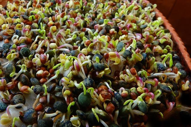 Energy-Enhancing Nutrients: Unlocking the Potential of Ritual Multi ‌for Daily Vitality