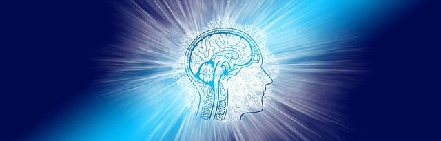 Exploring the Gut-Brain ‌Connection: The Role of Probiotics in ⁢Mental Wellness