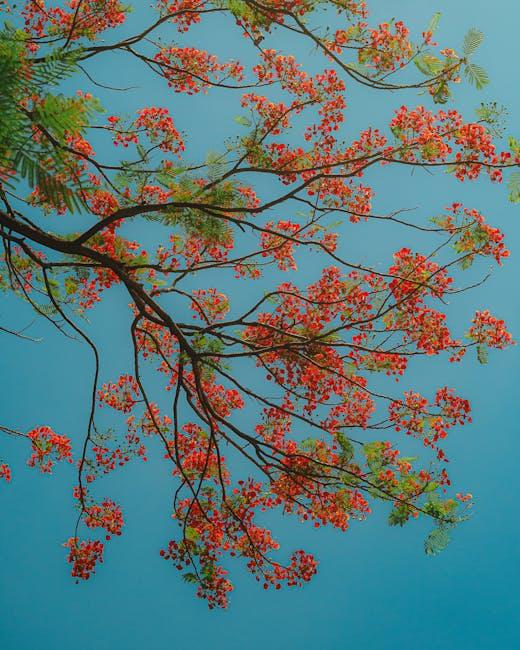 Exploring the Unique Ingredients ‍That​ make Garden‍ of Life Stand Out