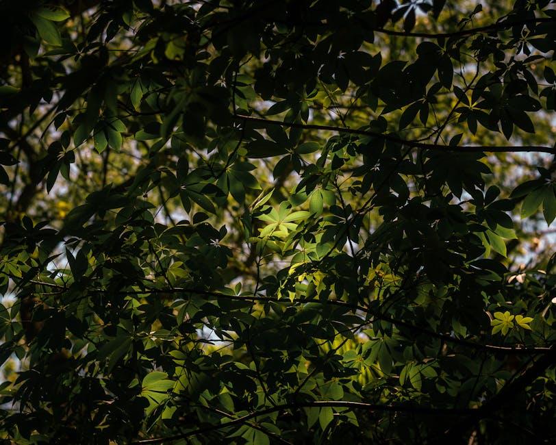 Customer Experiences ⁢and Expert Insights on Garden of Life⁣ Raw CoQ10