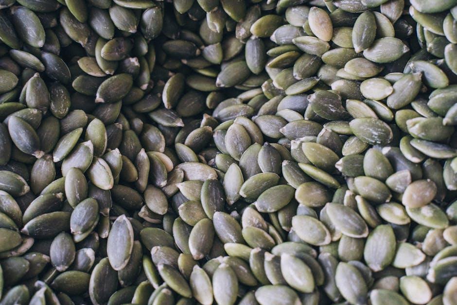Essential Fatty⁣ acids⁤ and Their Role in ‍Cognitive Wellness