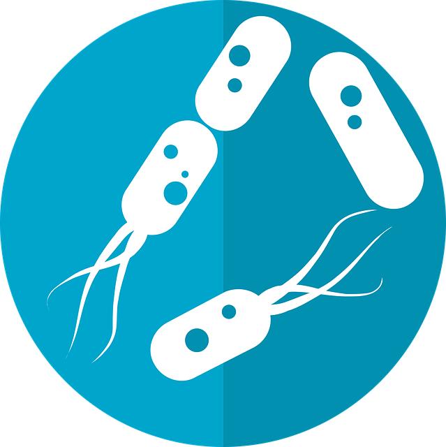 Navigating Severe gut Issues⁣ with Targeted Recommendations