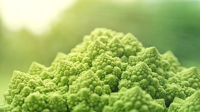 Exploring the Ethical ‌Foundations⁣ of⁢ Future ‌Kind Vegan Probiotic