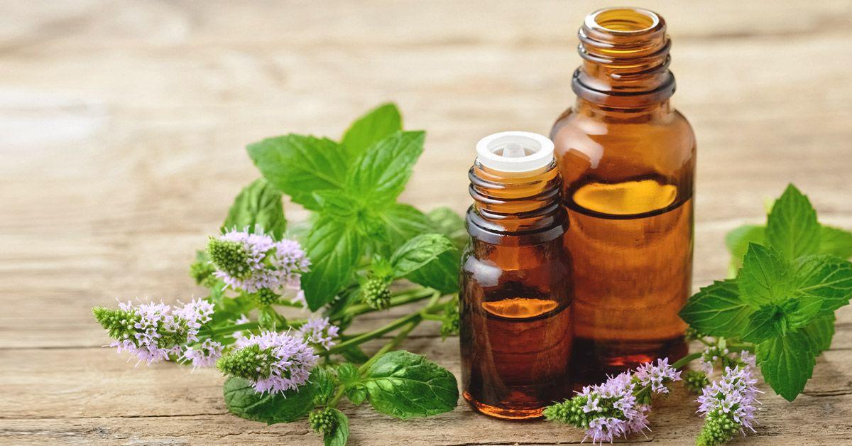 Peppermint Oil Supplements: A Deeper Dive into Digestive Health