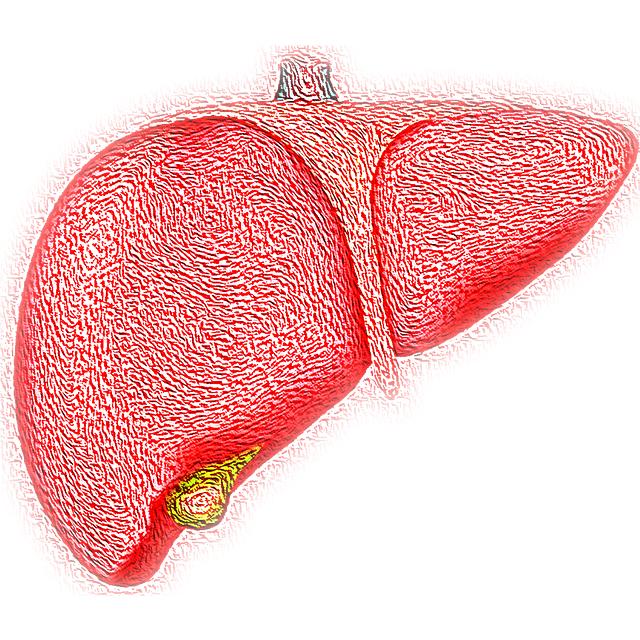 How​ to Incorporate Cod Liver‍ Oil into Your Daily Wellness Routine