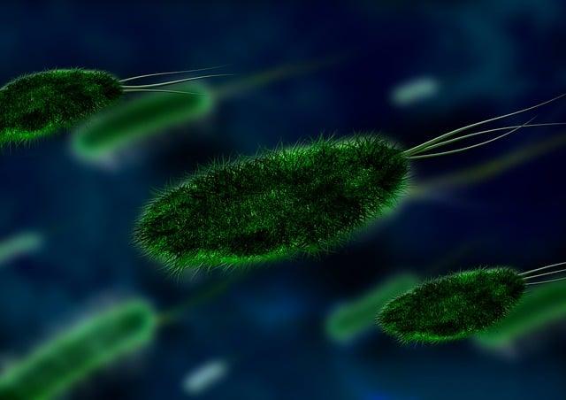 Beneficial Bacteria: understanding ⁣the High-Dose Formula‍ for​ Optimal balance