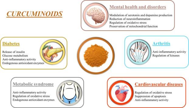 Understanding Bioavailability: The Key ​to Maximizing Curcumin Benefits