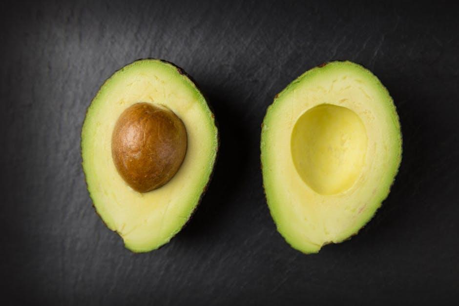 Unpacking the Science Behind Vitl‌ Omega-3's digestibility